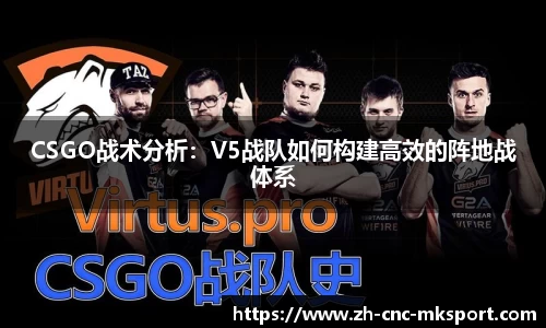 MK体育官方网站